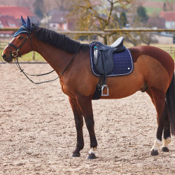 Sottosella da dressage Zurich Sottosella multipurpose Zurich B Vertigo Sottosella da dressage Zurich Sottosella multipurpose Zurich B Vertigo