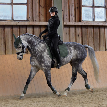 Sottosella da dressage Adepto Horze Sottosella da dressage Adepto Horze