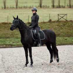 Sottosella da dressage Adepto Horze Nero