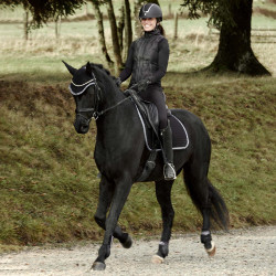Sottosella da dressage Adepto Horze Nero