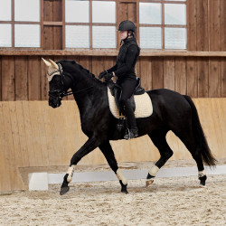 Sottosella da dressage Adepto Horze Sottosella da dressage Adepto Horze