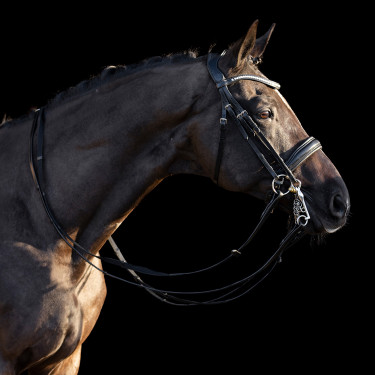 Briglia HV Polo Legacy deluxe Briglia HV Polo Legacy deluxe