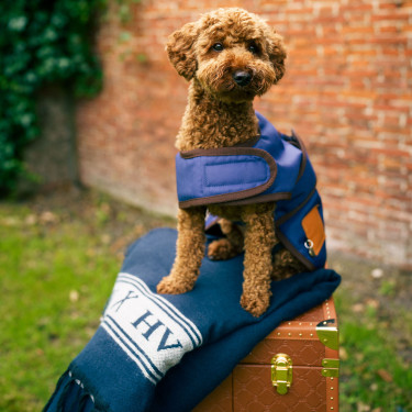 Cappotto per cane HV Polo Puck Cappotto per cane HV Polo Puck