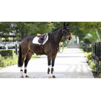 Sottosella ammortizzante LeMieux Close Contact ProSorb 2 Tasche Nero