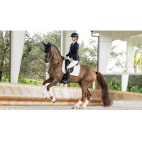 Sottosella ammortizzante LeMieux dressage square ProSorb 2 Tasche Nero