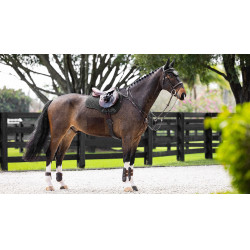 Sottosella ammortizzante LeMieux misto square ProSorb 2 Tasche Nero Sottosella ammortizzante LeMieux misto square ProSorb 2 Tasche Nero