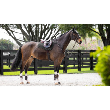 Sottosella ammortizzante LeMieux misto square ProSorb 2 Tasche Nero Sottosella ammortizzante LeMieux misto square ProSorb 2 Tasche Nero