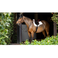 Sottosella ammortizzante LeMieux misto square ProSorb 2 Tasche Nero