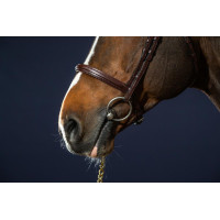 Briglia Capezzina Combinata Dy'on Collezione New English Marrone