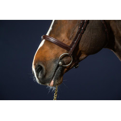 Briglia Capezzina Combinata Dy'on Collezione New English Marrone