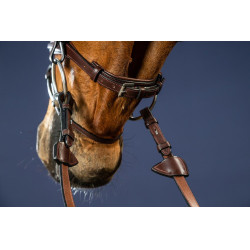 Briglia Capezzina Combinata Dy'on Collezione New English Marrone