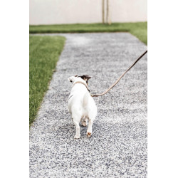 Guinzaglio per cane in nylon intrecciato 120 cm Kentucky Guinzaglio per cane in nylon intrecciato 120 cm Kentucky