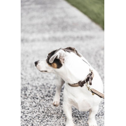 Guinzaglio per cane in nylon intrecciato 120 cm Kentucky Guinzaglio per cane in nylon intrecciato 120 cm Kentucky
