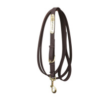 Longe da presentazione Kentucky Marrone