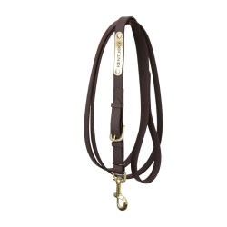 Longe da presentazione Kentucky Marrone