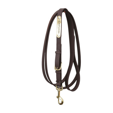 Longe da presentazione Kentucky Marrone