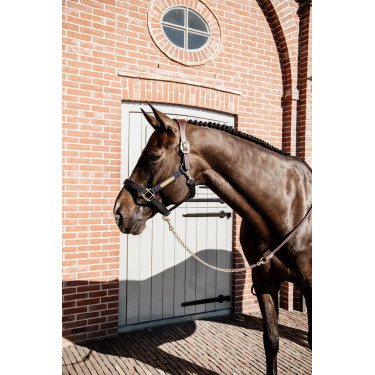 Lunga Presentazione in Pelle Kentucky Marrone