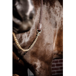 Lunga Presentazione in Pelle Kentucky Marrone