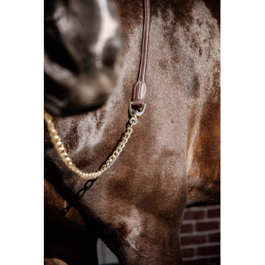 Lunga Presentazione in Pelle Kentucky Marrone