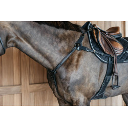 Pettorale a 5 punti con elastici D Collection Dy'on