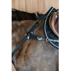 Pettorale a 5 punti con elastici D Collection Dy'on Nero Pettorale a 5 punti con elastici D Collection Dy'on Nero