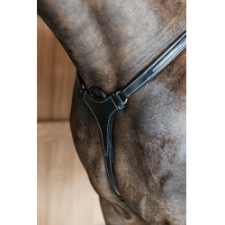 Pettorale a 5 punti con elastici D Collection Dy'on Nero Pettorale a 5 punti con elastici D Collection Dy'on Nero