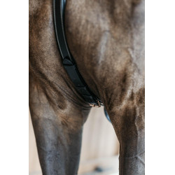 Pettorale a 5 punti con elastici D Collection Dy'on Nero Pettorale a 5 punti con elastici D Collection Dy'on Nero