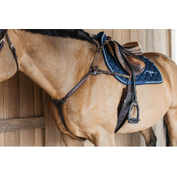 Pettorale a 5 punti con elastici D Collection Dy'on Marrone