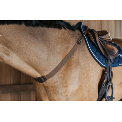 Pettorale elastico D Collection Dy'on