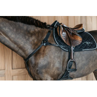 Collier de chasse 5 points avec élastiques New English Collection Noir
