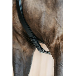 Pettorale a 5 punti con elastici New English Collection Dy'on Nero