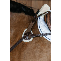 Pettorale a 5 punti con elastici New English Collection Dy'on Marrone