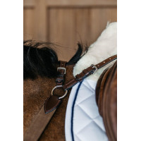 Pettorale a 5 punti con elastici New English Collection Dy'on Nero