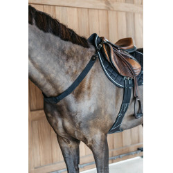 Pettorale elastico New English Collection Dy'on