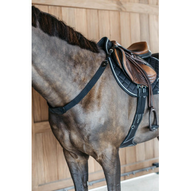 Pettorale elastico New English Collection Dy'on