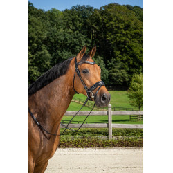 Briglia Capezzina Combinata Media con Pull-Back Dressage Cuoio Tondo Dy'on