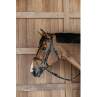 Briglia Capezzina Combinata con Montanti a Moschettoni Working by Dy'on Nero