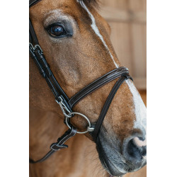 Briglia Capezzina Combinata con Montanti a Moschettoni Working by Dy'on Marrone