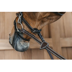 Briglia Capezzina Combinata con Montanti a Moschettoni Working by Dy'on Marrone