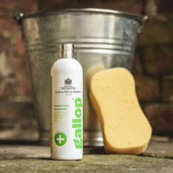Shampoo antibatterico Gallop® Carr & Day & Martin Shampoo antibatterico Gallop® Carr & Day & Martin