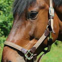 Capezza in nylon intrecciato Kentucky Capezza in nylon intrecciato Kentucky