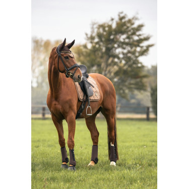 Tapis de selle Back on Track Haze Collection