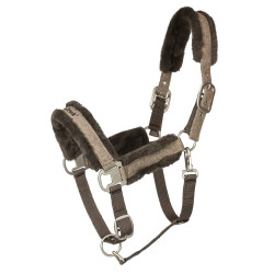 Cavezzone Back on Track Haze Collection Marrone