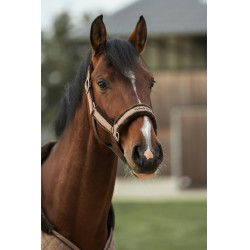 Cavezzone Back on Track Haze Collection Marrone