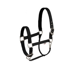 Capezza Hardwick B Vertigo Capezza Hardwick B Vertigo