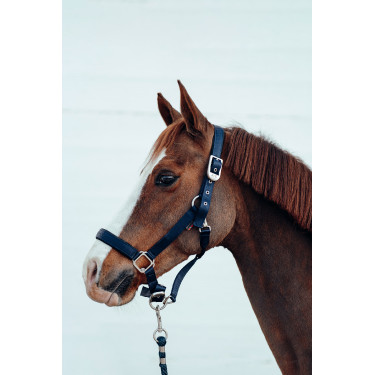 Capezza Hardwick B Vertigo Blu navy scuro