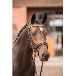 Fronte Horze Nancy Cristal con frontalino linea Horze Marrone / oro rosa