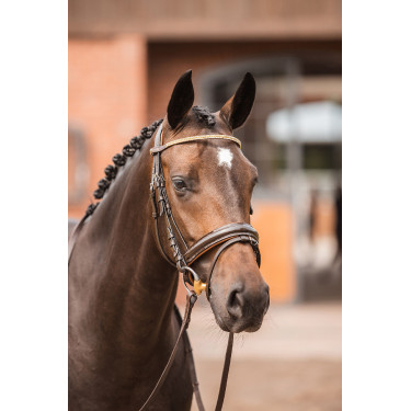 Fronte Horze Nancy Cristal con frontalino linea Horze Fronte Horze Nancy Cristal con frontalino linea Horze