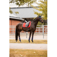 Sottosella da dressage B Vertigo Amory con monogramma ricamato Rosso rosa crespino Sottosella da dressage B Vertigo Amory con monogramma ricamato Rosso rosa crespino