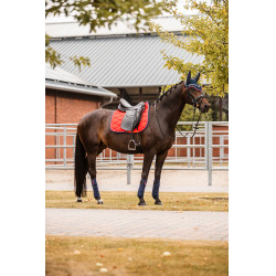 Sottosella da dressage B Vertigo Amory con monogramma ricamato Sottosella da dressage B Vertigo Amory con monogramma ricamato